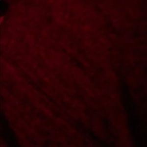 Meet your Posher, Lilly